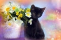 Black cute kitten next to a pot of flowers Royalty Free Stock Photo