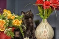 Black cute kitten next to a pot of flowers