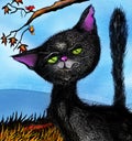 Little black snarling cat
