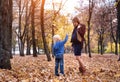 Little blond boy gives his pregnant mother yellow leaf. Autumn park on the background Royalty Free Stock Photo