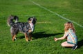 Little blond boy with her pet dog outdooors in park. Cute dog. A child with a dog playing in nature on green grass.