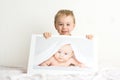 Little blond boys Royalty Free Stock Photo