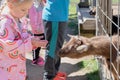 Little blond girl feeding young goat Royalty Free Stock Photo