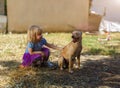 Little blond girl with her retriever dog Royalty Free Stock Photo