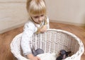 Little blond girl holding a sphynx kitten Royalty Free Stock Photo