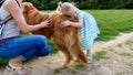 Little blond girl smiling and hugging her cute pet dog golden retriever Royalty Free Stock Photo