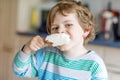 Little blond kid boy with curly hairs eating ice cream popsicle with chocolate at home Royalty Free Stock Photo