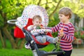 Little blond kid boy giving a carrot to baby sister. Happy siblings eating healthy snack. Baby girl sitting in pram or Royalty Free Stock Photo