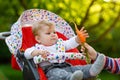 Little blond kid boy giving a carrot to baby sister. Happy siblings having healthy snack. Baby girl sitting in pram or Royalty Free Stock Photo