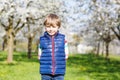 Little blond kid boy having fun on blooming cherry garden Royalty Free Stock Photo