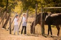 Little blonde boy and girl on the farm with wild horses