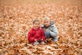 Little blonde and brunette brothers play on phone outdoor, in the middle of a dry leaf-litter covered field. Royalty Free Stock Photo