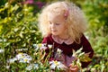 A little blonde curly-haired girl sniffs daisies in a flower bed. A child in a burgundy sweater in the park near the flowers