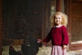 A little blonde girl in a burgundy knitted sweater at the zoo near a cage with birds