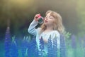 Little blonde girl with curly hair walking in a field with lupins, blowing soap bubbles, summer evening Royalty Free Stock Photo