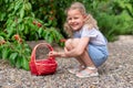 Little blonde girl picking cherries from a garden tree in a wicker basket. Royalty Free Stock Photo