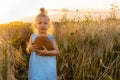 a little blonde girl in a rye field, a happy child with a rye round bread Royalty Free Stock Photo