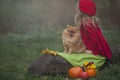 A little blonde girl with a small red dog in the autumn misty forest sitting on a log next to pumpkins. Autumn