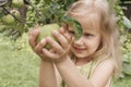 Little blonde girl wrapped her hands around a green apple on a tree in the garden Royalty Free Stock Photo