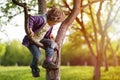 Little boy climbing tree Royalty Free Stock Photo