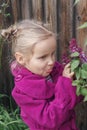 A little blue-eyed blond girl in pink near a lilac flower Royalty Free Stock Photo