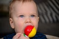 Little blue-eyed boy Royalty Free Stock Photo