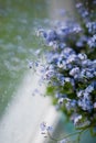 Little blue flowers forget-me-not near window with raindrops Royalty Free Stock Photo