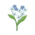 Little blue forget me not flowers in the shape of heart with stems and leaves Royalty Free Stock Photo