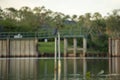 Little blue heron bird perching near lake water in Florida wetland Royalty Free Stock Photo