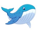 Little Blue Whale Cartoon Animal Illustration Royalty Free Stock Photo