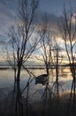 Little boat and trees Royalty Free Stock Photo