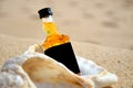 Little bottles whiskey in the big ocean shell stand on the sand closeup. Luxury alcoholic party in a nautical style on the shores