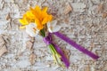 Little bouquet with fresh crocus