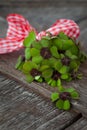 Little bouquet of lucky clovers Royalty Free Stock Photo