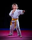 Little boy aikido fighter