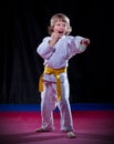 Little boy aikido fighter