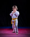 Little boy aikido fighter