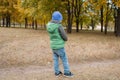 Little boy in autumn land scape