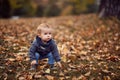 Little boy in autumn park. Little boy. Happy childhood. Family Royalty Free Stock Photo