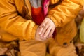 A little boy in an autumn park sits on yellow leaves in a yellow jacket and holds a ladybug in children`s hands. A red beetle Royalty Free Stock Photo