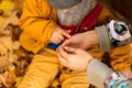 A little boy in an autumn park sits on yellow leaves in a yellow jacket and holds a ladybug in children`s hands. A red beetle Royalty Free Stock Photo