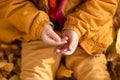 A little boy in an autumn park sits on yellow leaves in a yellow jacket and holds a ladybug in children`s hands. A red beetle Royalty Free Stock Photo