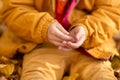 A little boy in an autumn park sits on yellow leaves in a yellow jacket and holds a ladybug in children`s hands. A red beetle Royalty Free Stock Photo