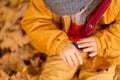 A little boy in an autumn park sits on yellow leaves in a yellow jacket and holds a ladybug in children`s hands. A red beetle Royalty Free Stock Photo