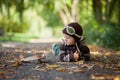 Little boy with aviator hat, lying on the ground in a park Royalty Free Stock Photo