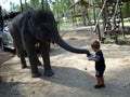 A little boy and a baby elefant in Thailand..