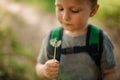 Little boy blowing a white dandelion in the garden Royalty Free Stock Photo