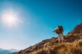 Little Boy backpacker traveler walk up on mountain top