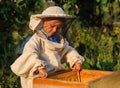 Little boy beekeeper works on an apiary at hive Royalty Free Stock Photo