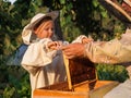 Little boy beekeeper works on an apiary at hive